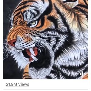 Meet your Posher, Kenneth